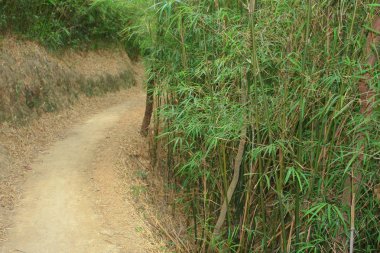 10 Nisan 2009 Tai Lam Ülke Parkı