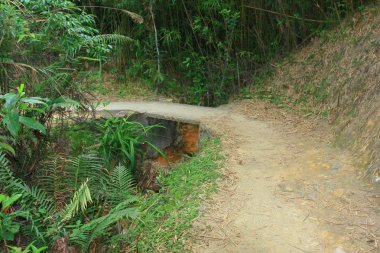 10 Nisan 2009 Tai Lam Ülke Parkı