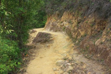 10 Nisan 2009 Tai Lam Ülke Parkı