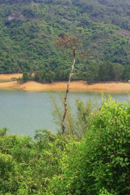 Tai Lam Chung Rezervuar 10 Nisan 2009