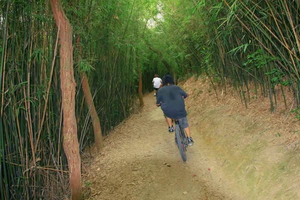 Ciclismo en el bosque Tai Lam Chung. HK —  Fotos de Stock