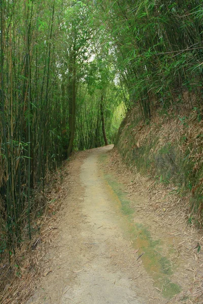 10 Απριλίου 2009 εξοχικό πάρκο Τάι Λαμ — Φωτογραφία Αρχείου