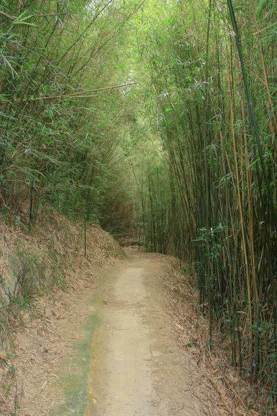 10 aprile 2009 Tai Lam Country Park — Foto Stock