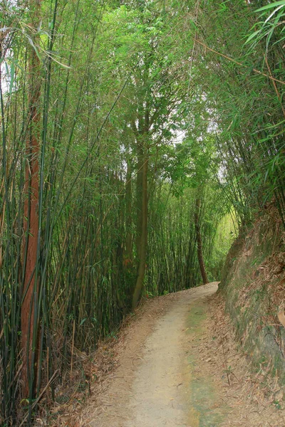 10 Απριλίου 2009 εξοχικό πάρκο Τάι Λαμ — Φωτογραφία Αρχείου