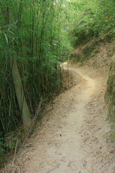 10 abril 2009 Tai Lam Country Park — Foto de Stock