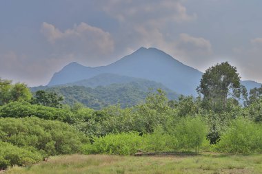 Nai Chung Çakıl Plajı, Wu Kai Sha, Ma On Shan at hk