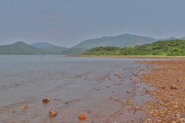 Nai Chung Pebbles Beach, hong kong 7 Eylül 2019