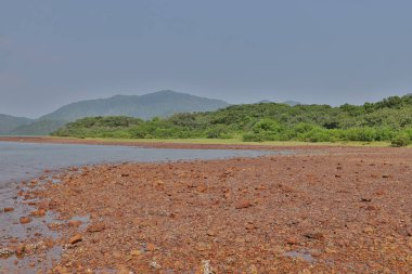 Nai Chung Pebbles Beach, hong kong 7 Eylül 2019