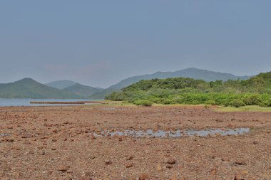 Nai Chung Pebbles Beach, hong kong 7 Eylül 2019