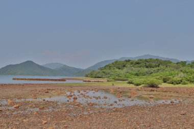 Nai Chung Pebbles Beach, hong kong 7 Eylül 2019