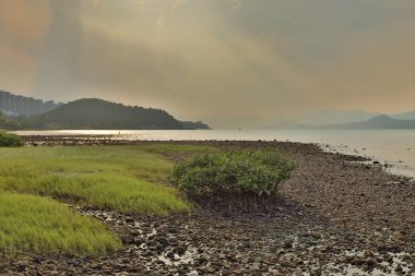 Nai Chung Çakıl Plajı, Hk 7 Eylül 2019