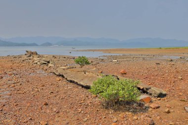 Nai Chung Pebbles Beach, hong kong 7 Eylül 2019