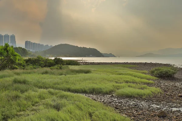 stock image the Nai Chung Pebbles Beach, HK 7 Sept 2019