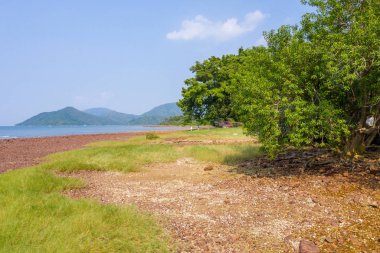 Nai Chung Çakıl Plajı, Hong Kong