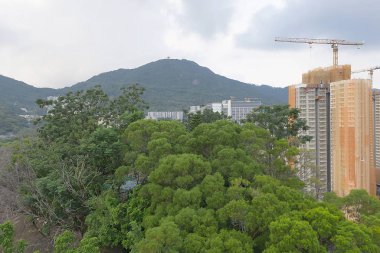 14 Eylül 2019 Pak Tin Halk Evi, Sham Shui Po