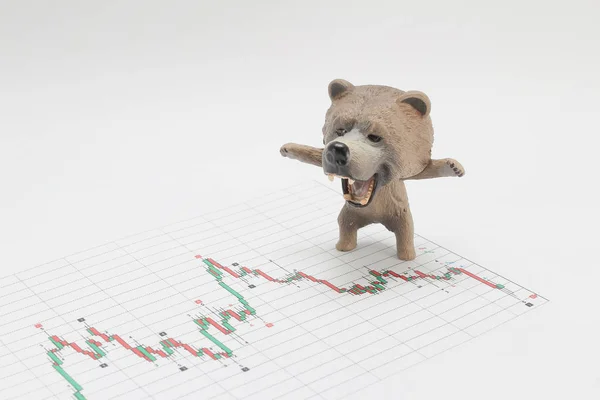 Bärenmarkt, Kursverfall im Aktienkonzept, Bärenfigur — Stockfoto