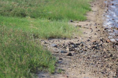 22 eylül 2019 tai po de deniz ve kum ile güneşli bir gün