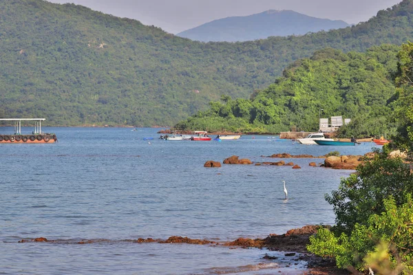 La bahía de Shuen Wan Hoi tai po hk — Foto de Stock