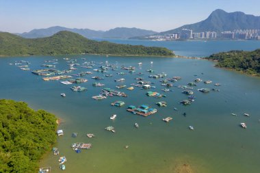 Ma Shi Chau Doğa Trail kaya formu korumak için özel bir alandır