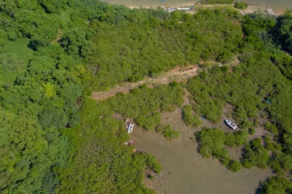 Terra molhada em Ma Shi Chau Área Especial hk — Fotografia de Stock