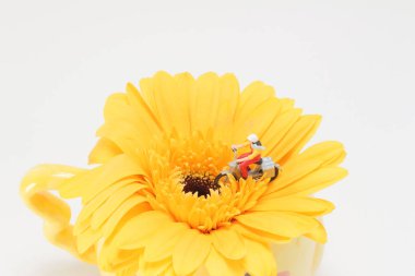 sarı çiçek üzerinde mini rakam binicilik motosiklet sürme