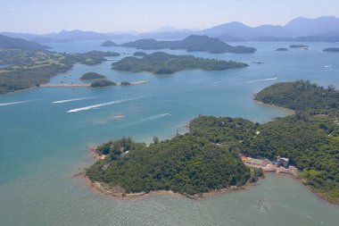 Wong Yi Chau de rıhtım, sai kung , Doğa