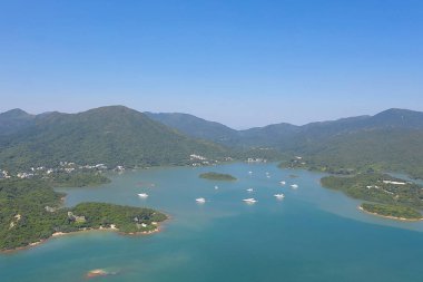 Wong Yi Chau de rıhtım, sai kung , Doğa