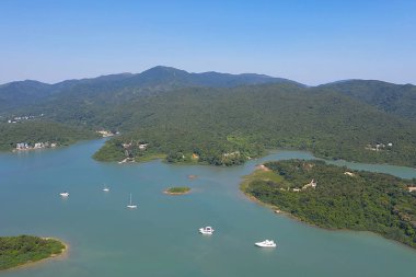 Wong Yi Chau de rıhtım, sai kung , Doğa