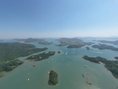 Wong Yi Chau de rıhtım, sai kung , Doğa