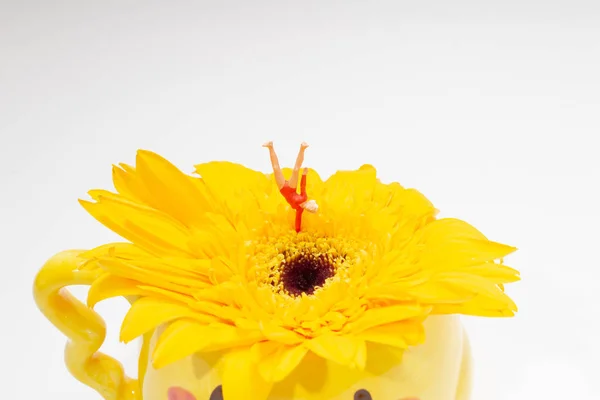 Une mini figure jouer la gymnastique sur la fleur — Photo