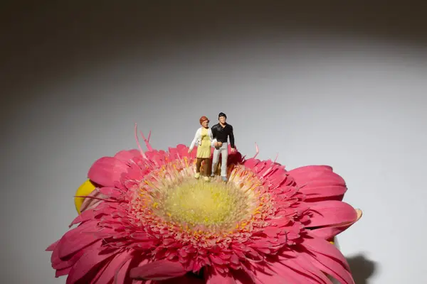 Um mini de figura de amante em flor — Fotografia de Stock