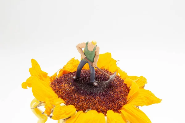 노란 꽃을 만드는 작은 형상 — 스톡 사진
