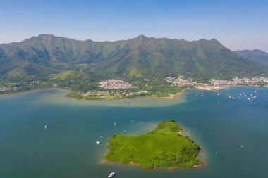 Shuen Wan Hoi tai po bir koyun