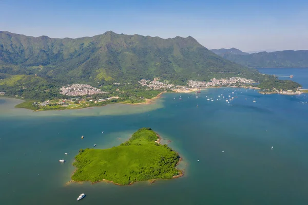 Shuen Wan Hoi tai po bir koyun