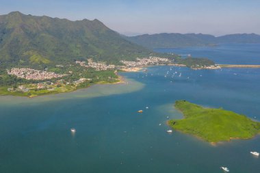 Shuen Wan Hoi tai po bir koyun