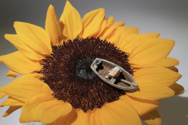 Küçük bir figür güneş çiçeğinde balık tutuyor.