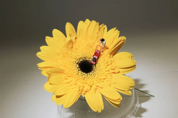 Une figure Mini personnes agriculteur travaillant avec des fleurs — Photo