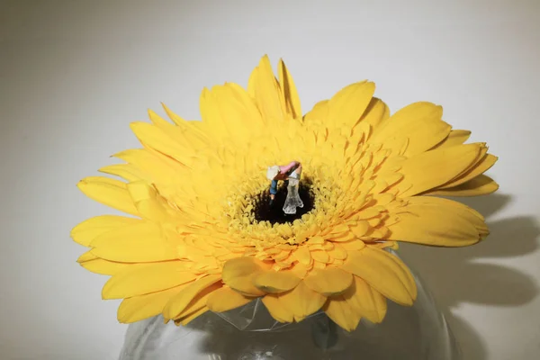 Figur aus nächster Nähe Mini-Menschen Landwirt Gießen mit Blume — Stockfoto