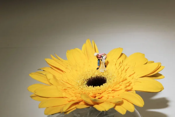 Figur aus nächster Nähe Mini-Menschen Landwirt Gießen mit Blume — Stockfoto