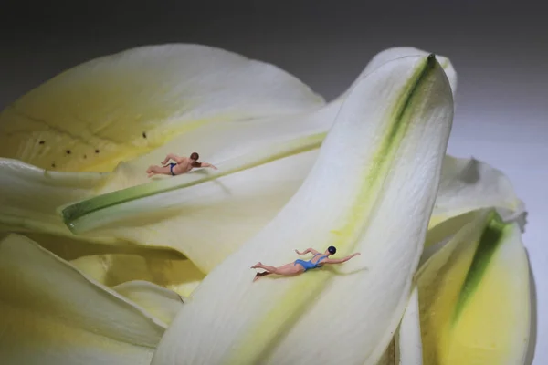 작은 형상 이 아름다운 꽃 위를 헤엄치고 있다 — 스톡 사진
