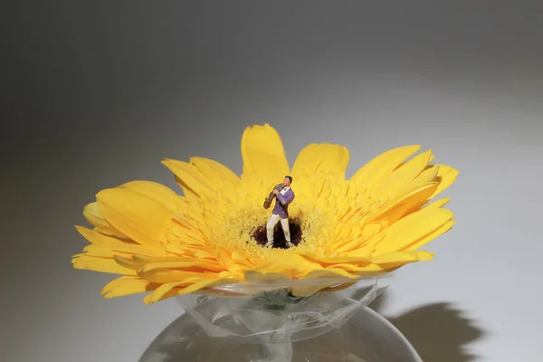 노란 꽃에서 작은 형상 연주 — 스톡 사진