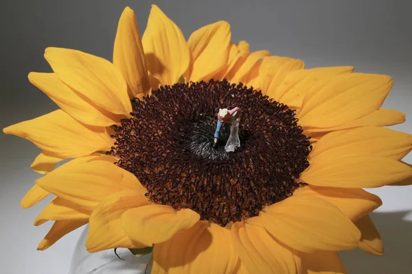 꽃 과 함께 일하는 작은 사람들 — 스톡 사진