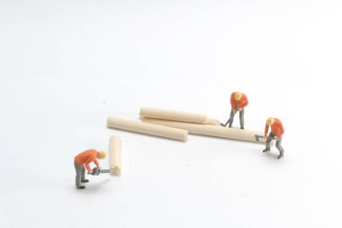 ağacı kesmek için bir el testeresi kullanarak marangoz mini