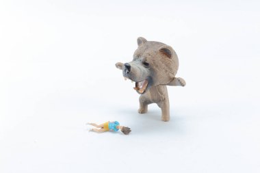 Ayının terazisi kadını öldürür.