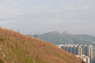 1 Ocak 2007 Wilson Patikası 3, Hong Kong