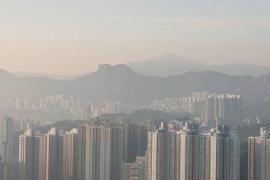 1 Ocak 2007 Wilson Patikası 3, Hong Kong