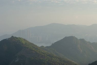 1 Ocak 2007 Wilson Patikası 3, Hong Kong