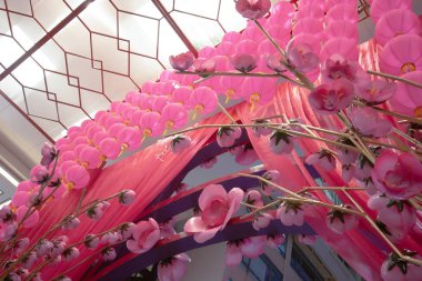 Ay ve Çin Yeni Yıl dekorasyonları konsepti. 27 Ocak 2007