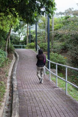 Yeşil tepe yolu olan orman manzarası.