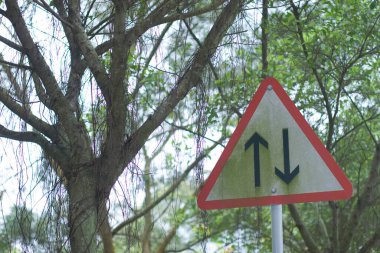 Hong Kong doğası ve Yol İşaretleri